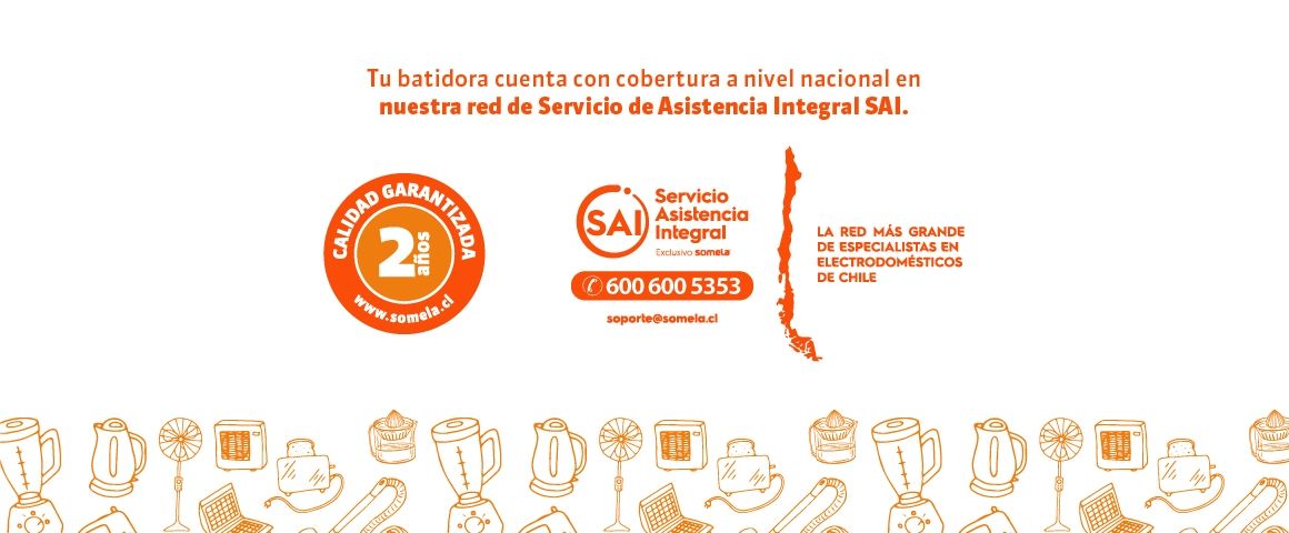 Servicio Asistencia Inegral