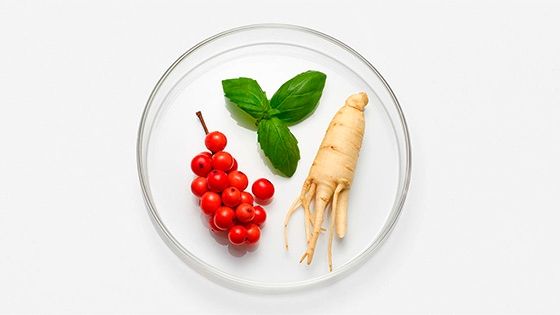 Ingredientes Super Serum