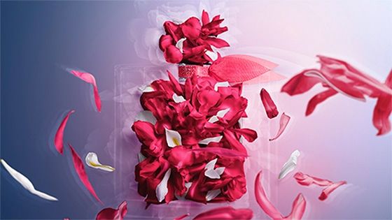 Perfumes fragancias Lancome 