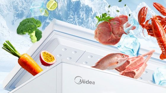 Freezer Horizontal Dual Function