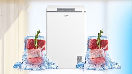 Freezer Horizontal Dual Function