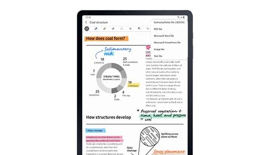 Samsung Galaxy Tab S7 y S7 Plus