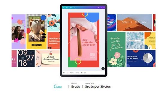 Samsung Galaxy Tab S7 y S7 Plus