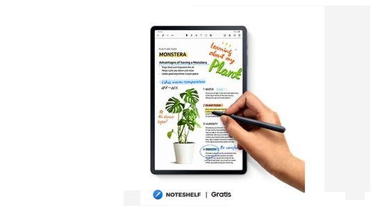 Samsung Galaxy Tab S7 y S7 Plus