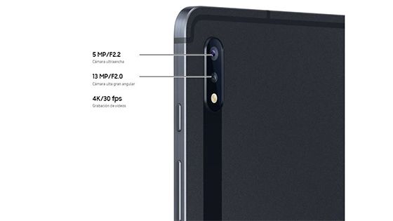 Samsung Galaxy Tab S7 y S7 Plus
