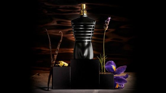 Ingredientes perfume  Le Male Le Parfum