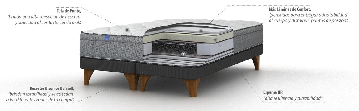 Modelo Element Plus