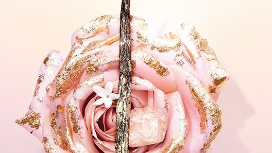 Notas olfativas: ROSA