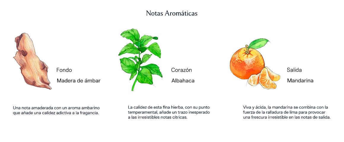 Lime Basil & Mandarin 100 ml