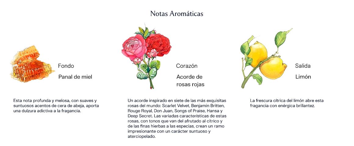 Red Roses 100 ml