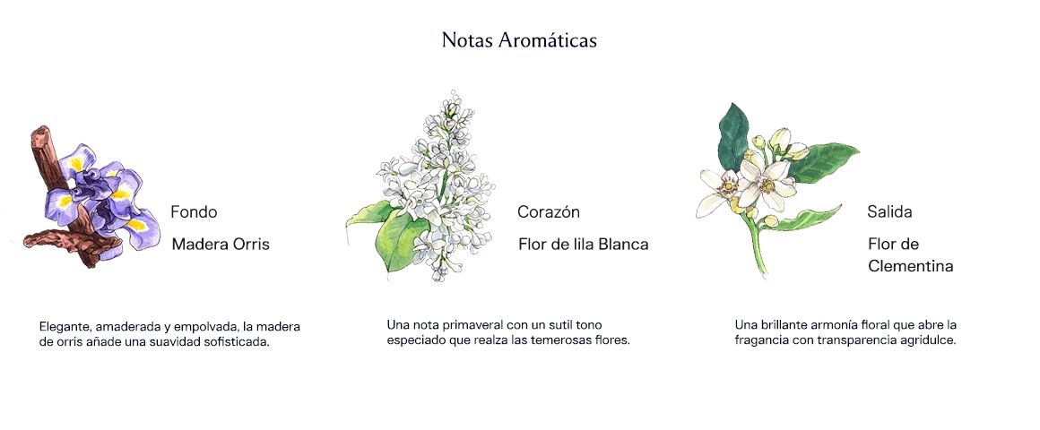 Orange Blossom 100 ml