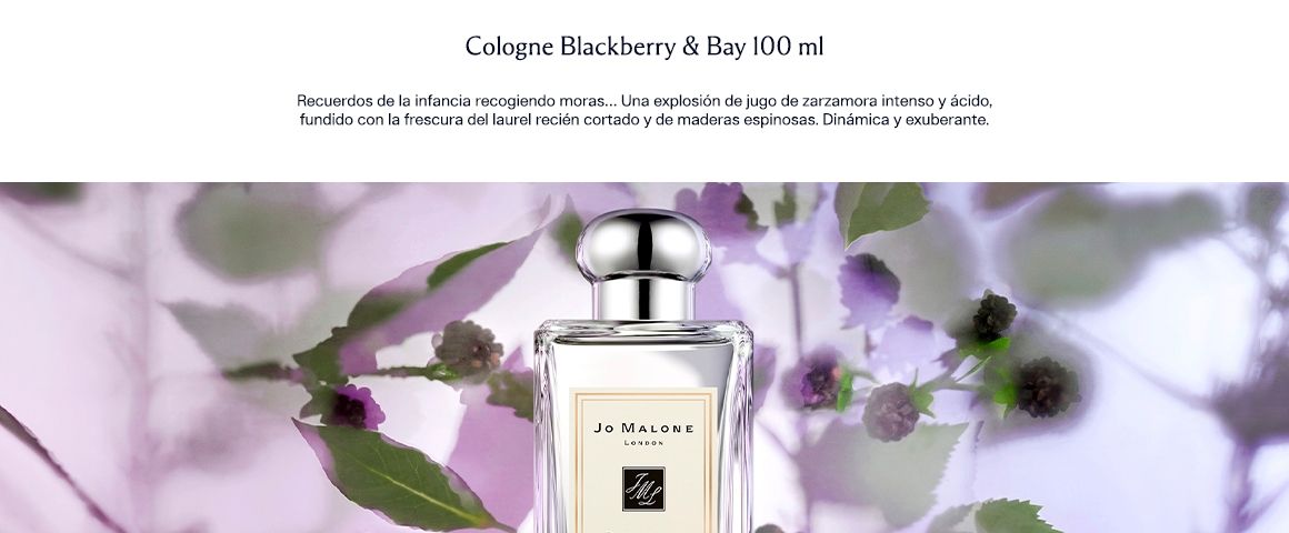 Blackberry & Bay 100 ml
