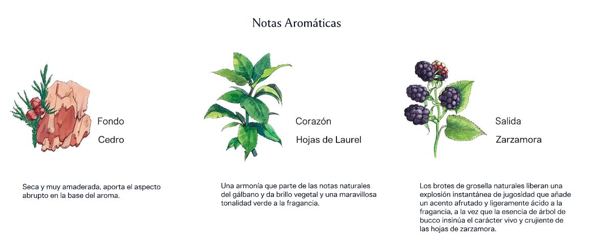Blackberry & Bay 100 ml