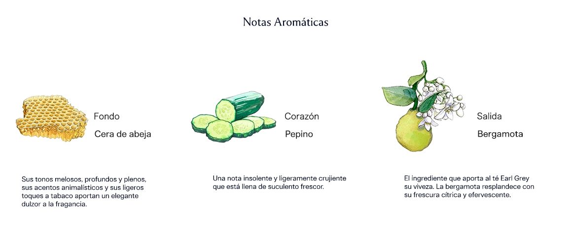 Earl Grey & Cucumber 100 ml