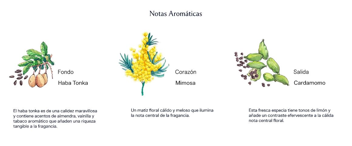 Mimosa & Cardamom 30 ml