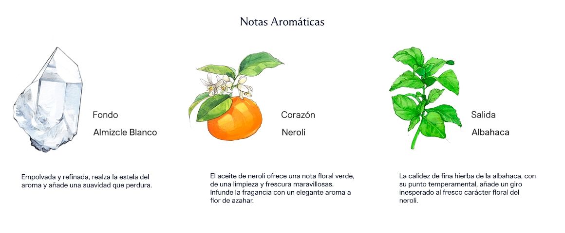 Basil & Neroli 100 ml