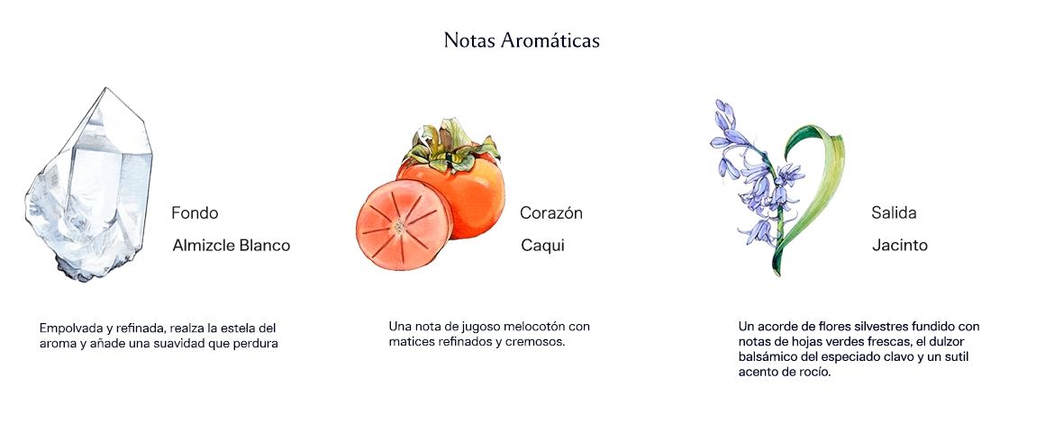 Vela Wild Bluebell