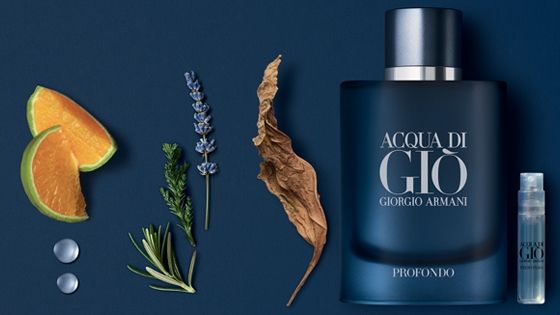 Ingredientes Acqua Di Giò Profondo Armani notas de olor