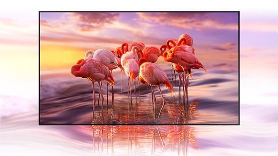 QLED Samsung 65
