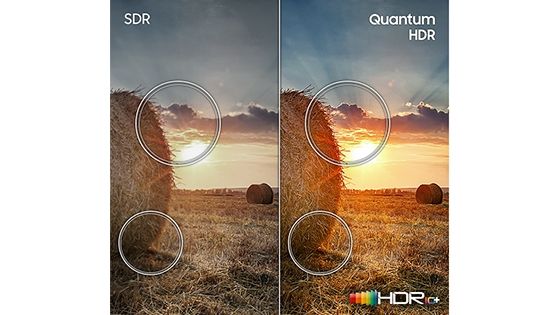 QLED Samsung 65