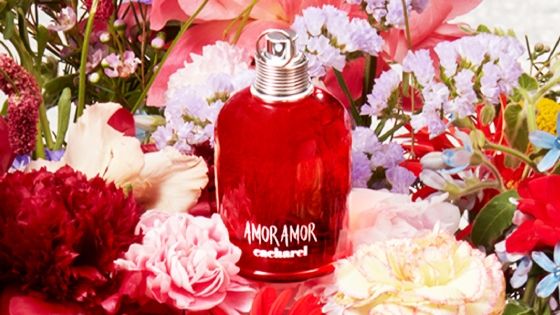 AMOR AMOR EDT
