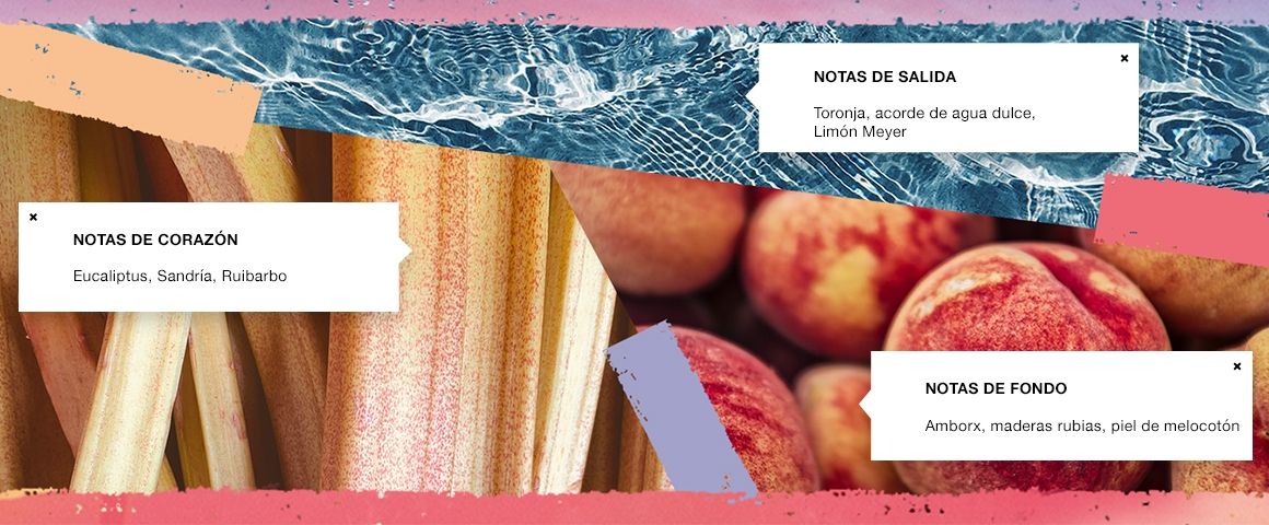 CK ONE SUMMER CALVIN KLEIN EDICION LIMITADA PERFUME VERANO REGALO 