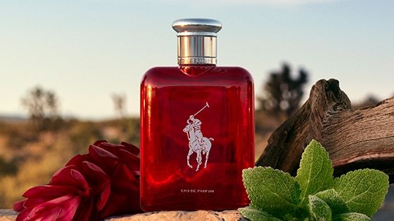 Polo Red EDP