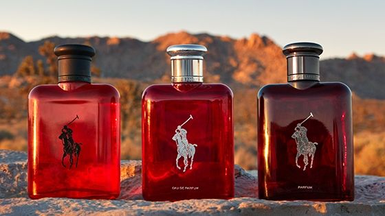 Polo Red EDP