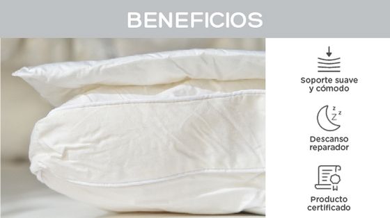 Beneficios y especificaciones