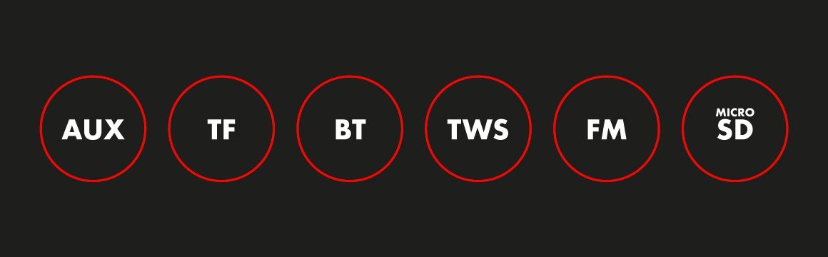 Aux / TF / Bluetooth / TWS / FM /MicroSD