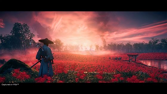 GHOST OF TSUSHIMA DIRECTOR'S CUT  PS5 VIDEOJUEGO