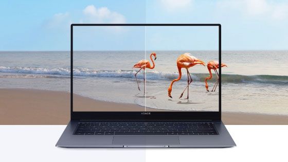 HONOR MAGICBOOK X 14 
