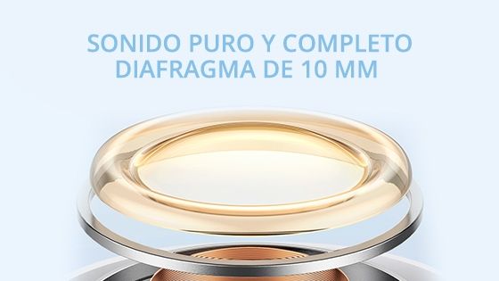 diafragma
