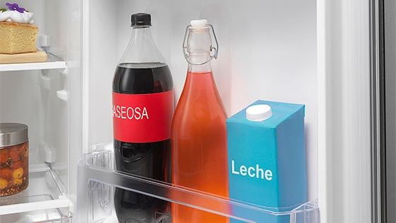 Organización Práctica