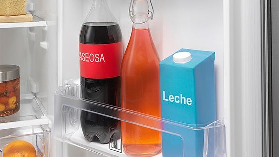 Organización Práctica