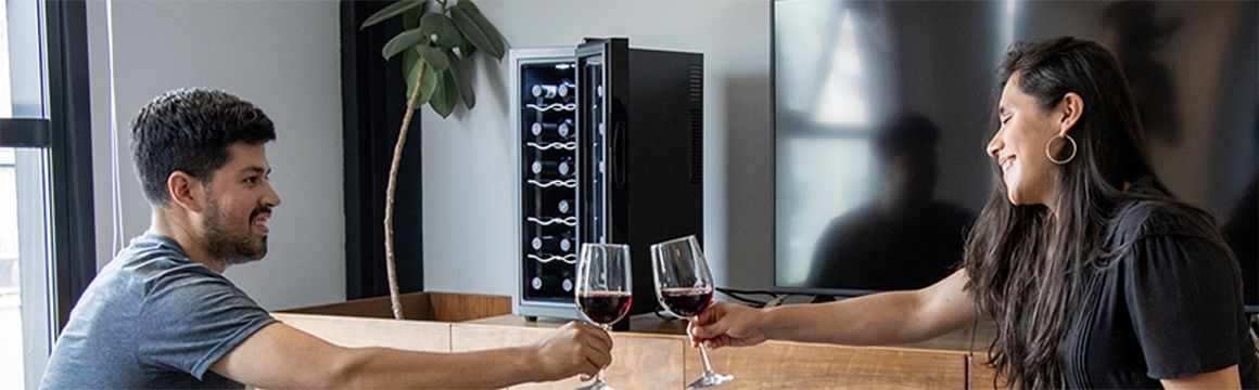 Cava de Vinos Enfriadora de 12 botellas EV12