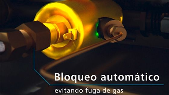 Seguridad Inteligente
