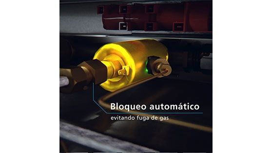 Seguridad Inteligente
