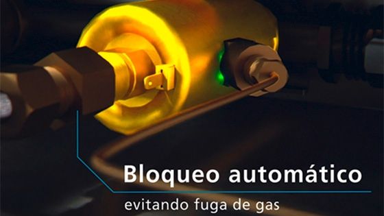 Seguridad Inteligente