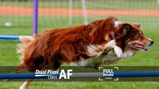 DualPixel