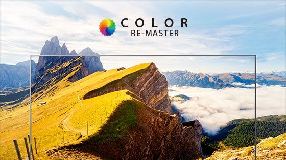 COLOR REMASTER