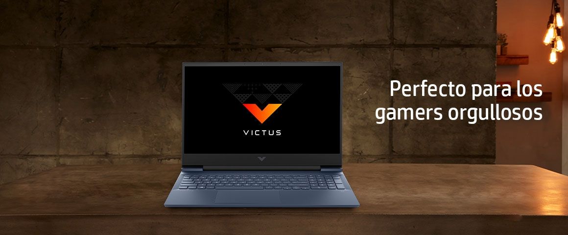 Perfecto para los gamers orgullosos
