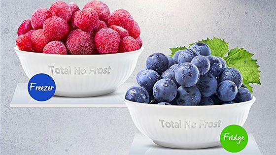 Conserva tus alimentos por más tiempo