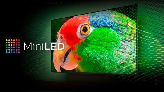 Televisor MiniLED Philips 75PML9507