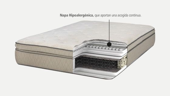 Napa Hipoalergénica