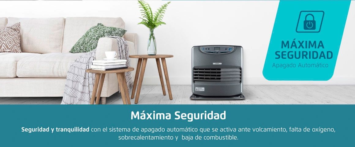 Maxima seguridad
