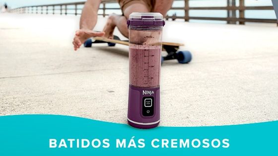 Ricos batidos