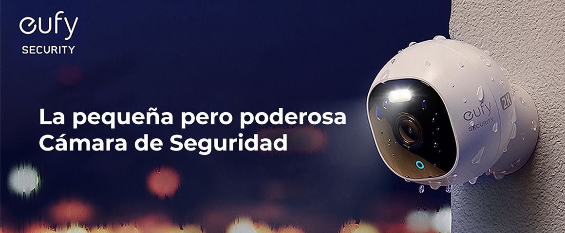 La pequeña pero poderosa Cámara de Seguridad