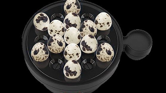 COCEDOR DE HUEVOS THOMAS TH-80
