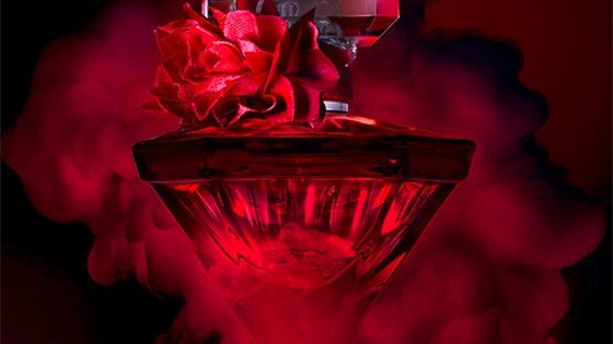 la nuit tresor